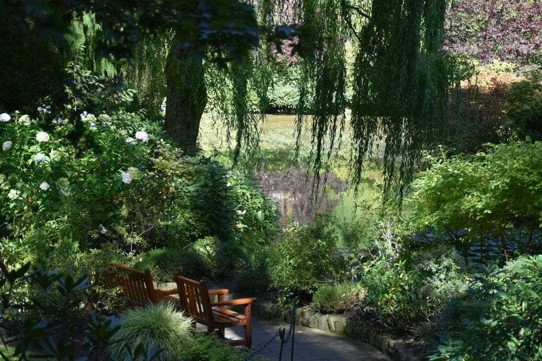 Maple Grove Garden Services 1